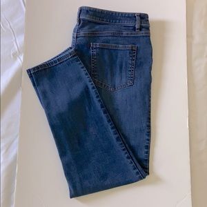 J.JILL Slim Ankle Jeans
